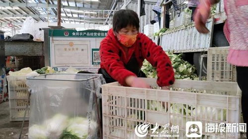聊城 斷不了菜！記者實地探訪周公河農貿城，日供蔬菜2000噸，新鮮蔬菜零售無憂