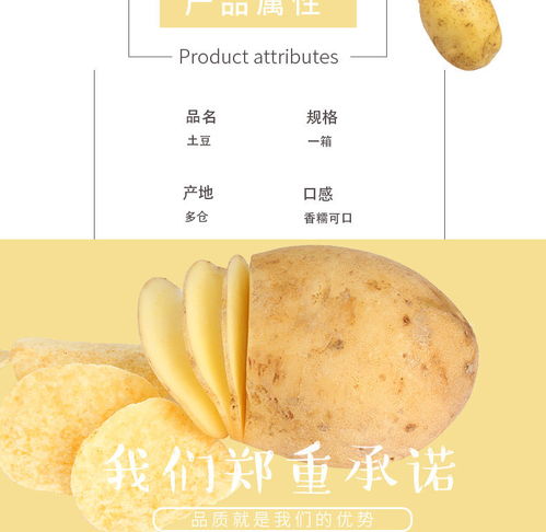 云南黃皮小土豆 現挖現賣的新鮮馬鈴薯，體驗泥土的芬芳