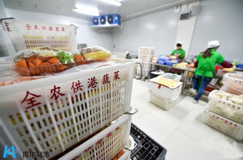 冷鏈先行，鮮達(dá)香江 解碼供港蔬菜85%份額背后的冷庫(kù)工程精髓